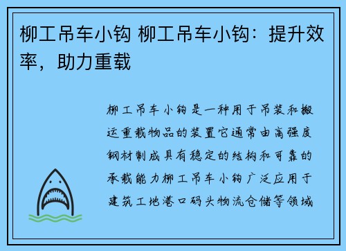 柳工吊车小钩 柳工吊车小钩：提升效率，助力重载