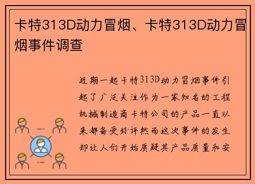 卡特313D动力冒烟、卡特313D动力冒烟事件调查