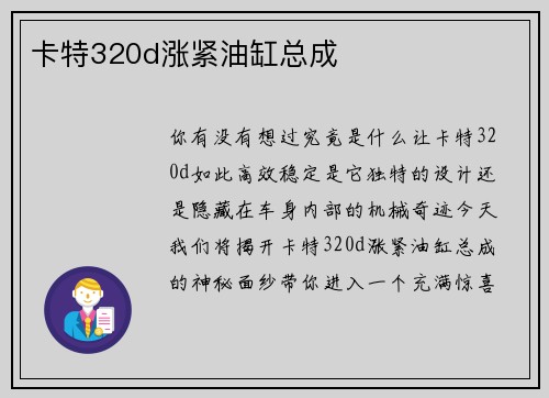 卡特320d涨紧油缸总成
