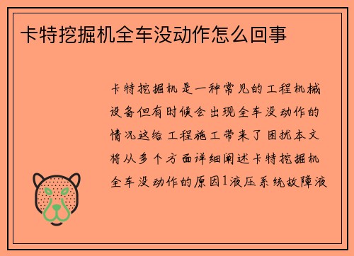 卡特挖掘机全车没动作怎么回事