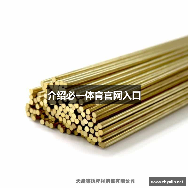 介绍必一体育官网入口